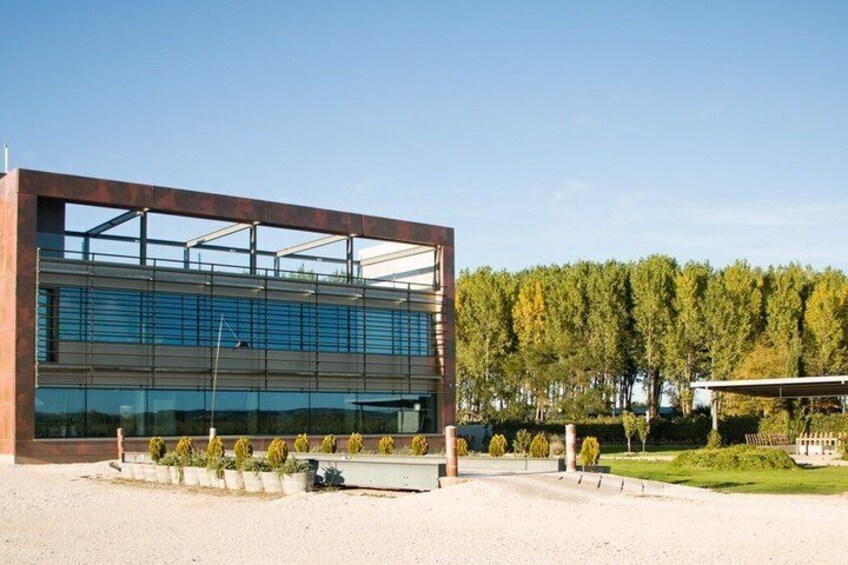 Private tour and wine tasting in Aranda de Duero 1