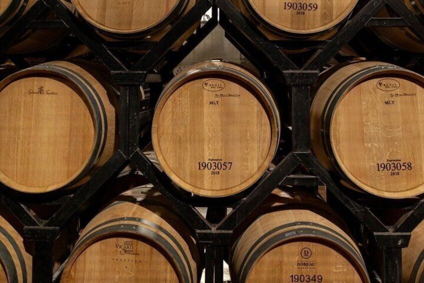 Private tour and wine tasting in Aranda de Duero 2