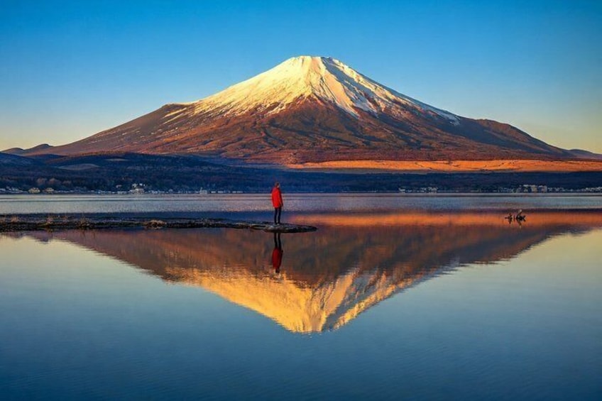 Private Car Tour to Lake Yamanaka and Mt. Fuji from Tokyo 5
