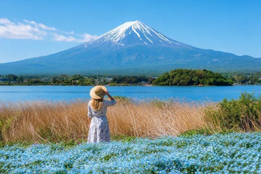 Private Car Tour to Lake Yamanaka and Mt. Fuji from Tokyo 2