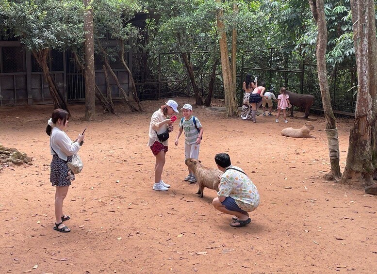 A group of people observing animals in a zoo enclosure with trees and a dirt ground. 2