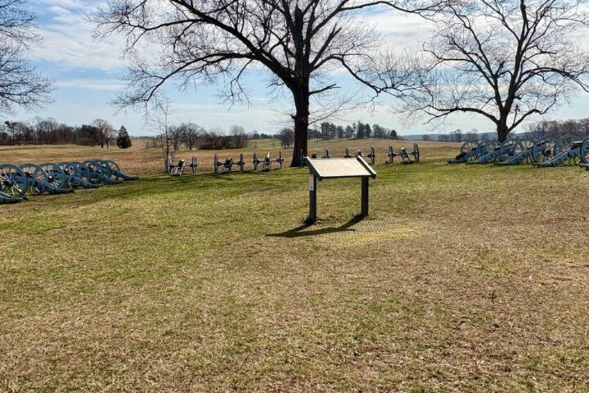 A park with a metal sculpture of a horse, a signboard, and leafless trees. 3