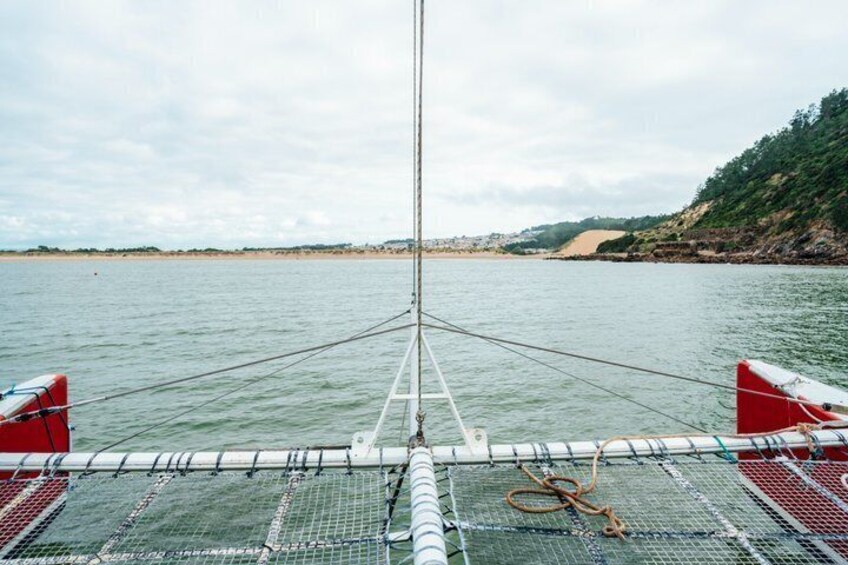 Catamaran Dolphin Adventure 4