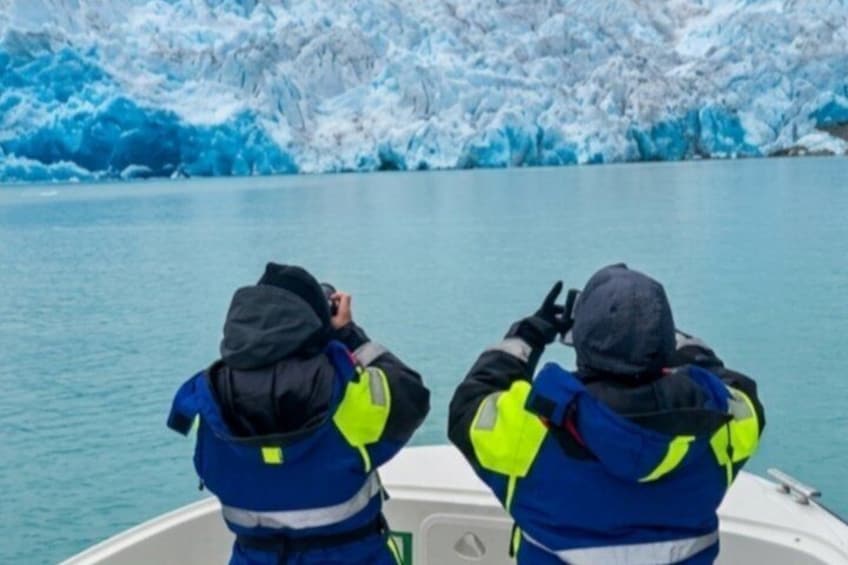 Paamiut Fjord and Iceberg Discovery Boat Tour 1