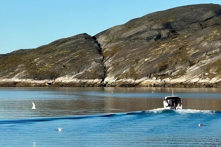 Paamiut Fjord and Iceberg Discovery Boat Tour 2
