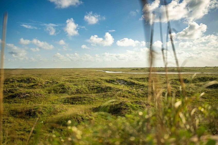 Mansfield Cut Adventure South Padre Island 2