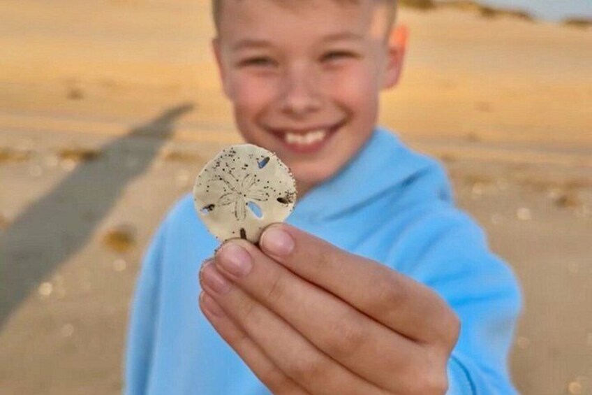 A person holding a seashell. 2