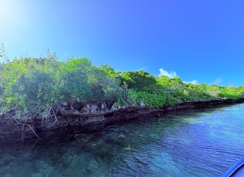 Picture 3 for Activity Mauritius: Private 5 Island Boat Tour with Snorkeling & BBQ 4