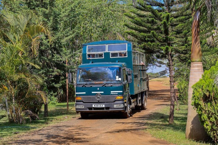 A green truck parked on a dirt path surrounded by dense greenery. 5
