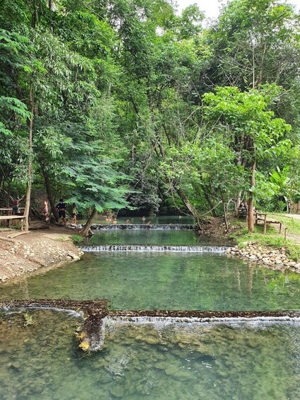 A natural water feature with clear water, surrounded by dense greenery and trees. 2