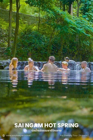A group of people relaxing in a hot spring surrounded by lush greenery. 1