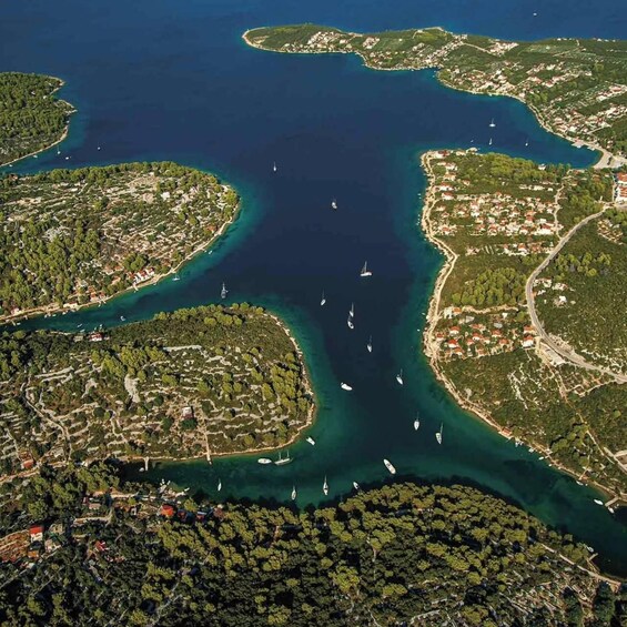 Picture 2 for Activity From Omiš: 3 island Tour-Blue Lagoon, Šolta, Brač with Lunch 4