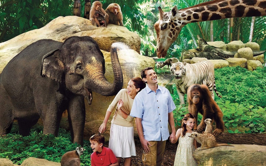 Picture 1 for Activity Singapore : Zoo Entry Ticket with Hotel Transfers 2