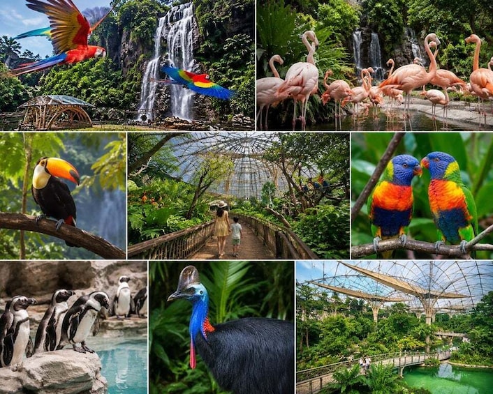 Singapore : Zoo Entry Ticket with Hotel Transfers 1