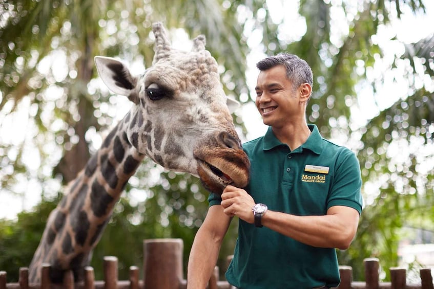 Picture 3 for Activity Singapore : Zoo Entry Ticket with Hotel Transfers 3