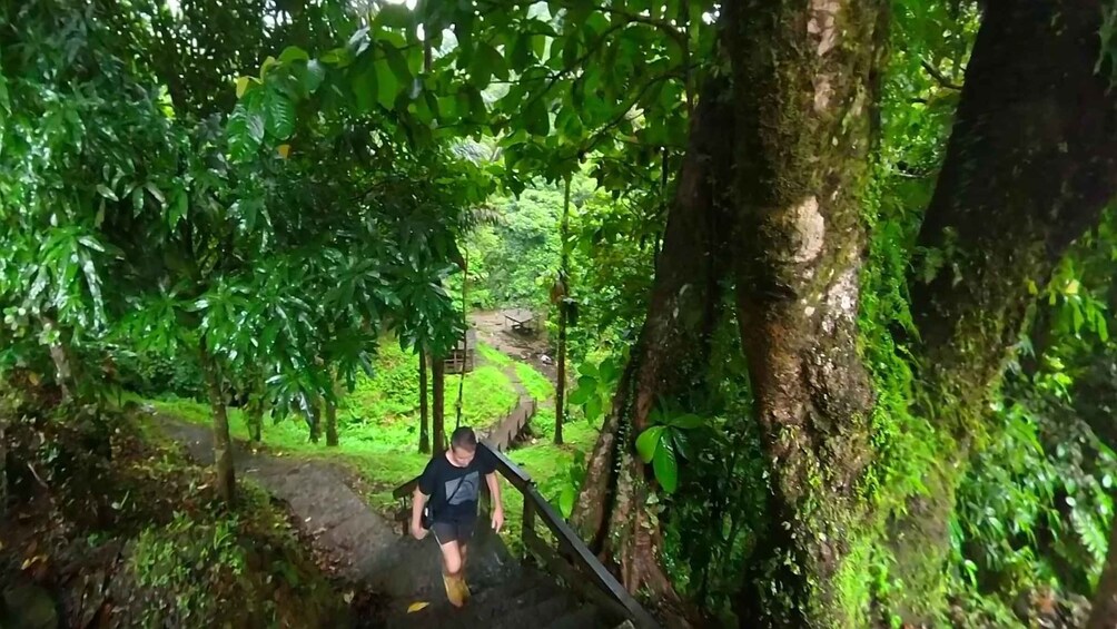 Picture 3 for Activity Martinique: Northern Island Tour with Rum Tasting 3