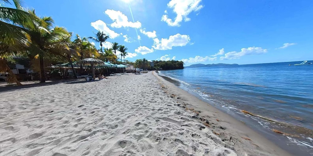 A sandy beach with palm trees and a clear blue sky. 1