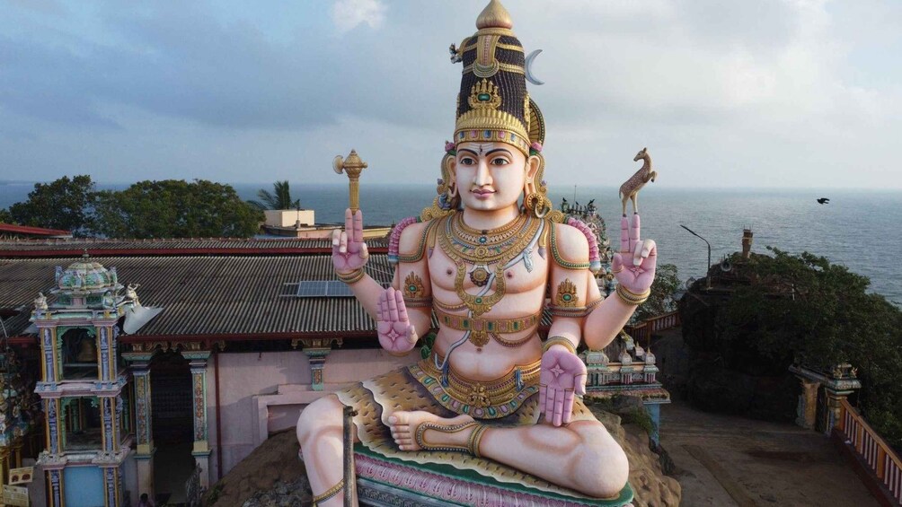 From Arugam Bay: Trincomalee Transfer with Guided Tour 1