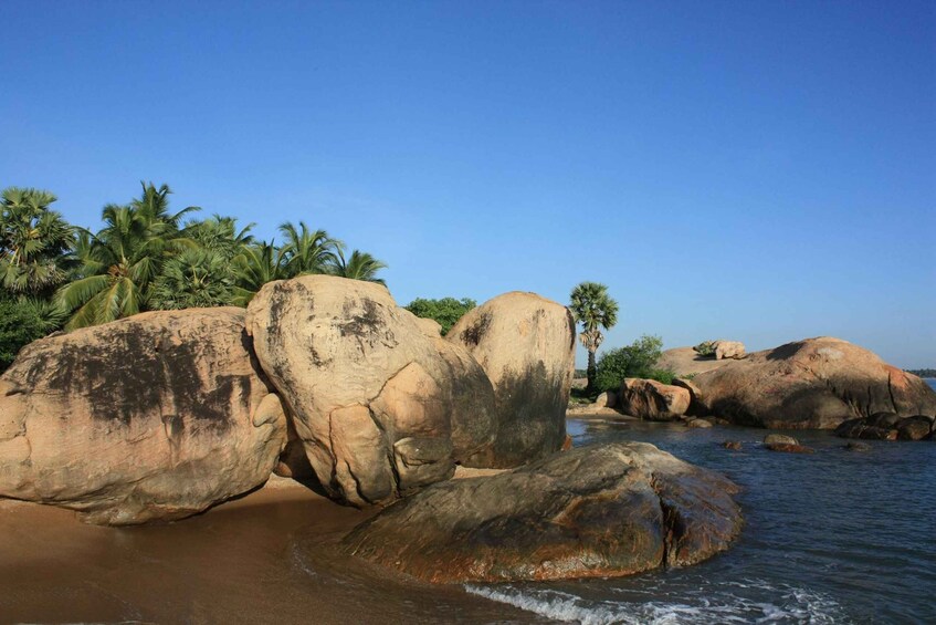 Picture 9 for Activity From Arugam Bay: Trincomalee Transfer with Guided Tour 3