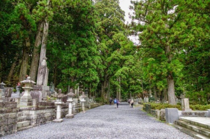Mount Koya Nachi Waterfall and Wakayama Tour 4