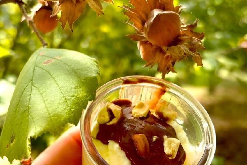 Truffle Hunting and Tasting of Local Products in Tuscany 3