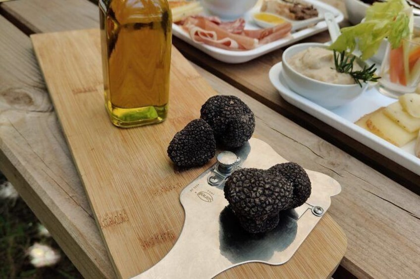 Truffle Hunting and Tasting of Local Products in Tuscany 1
