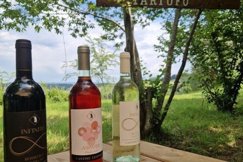 Truffle Hunting and Tasting of Local Products in Tuscany 4