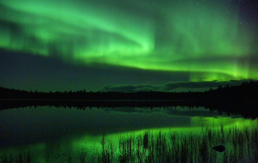 Picture 1 for Activity Ivalo: Northern Lights Minibus Tour with Snacks 3