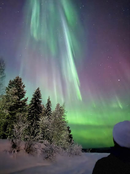 Picture 3 for Activity Ivalo: Northern Lights Minibus Tour with Snacks 2