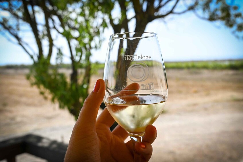Picture 2 for Activity Montpellier : Organic Wine Tasting - Food and wine pairing 2