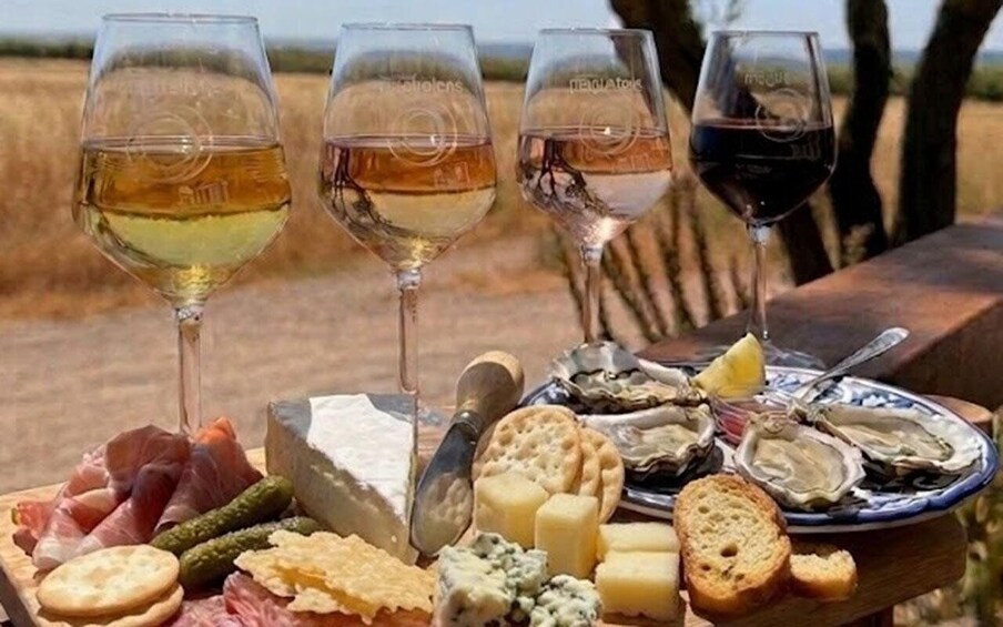 Montpellier : Organic Wine Tasting - Food and wine pairing 1