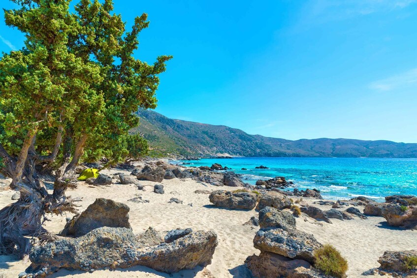 Picture 9 for Activity From Chania: Kedrodasos Beach Tour with Hike 4