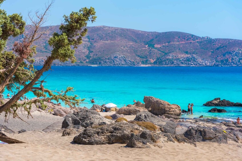 From Chania: Kedrodasos Beach Tour with Hike 1