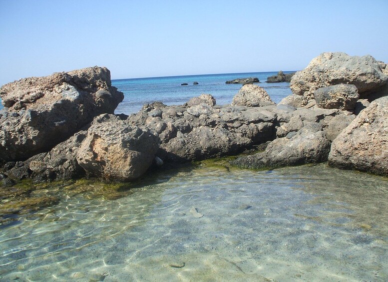 Picture 8 for Activity From Chania: Kedrodasos Beach Tour with Hike 2