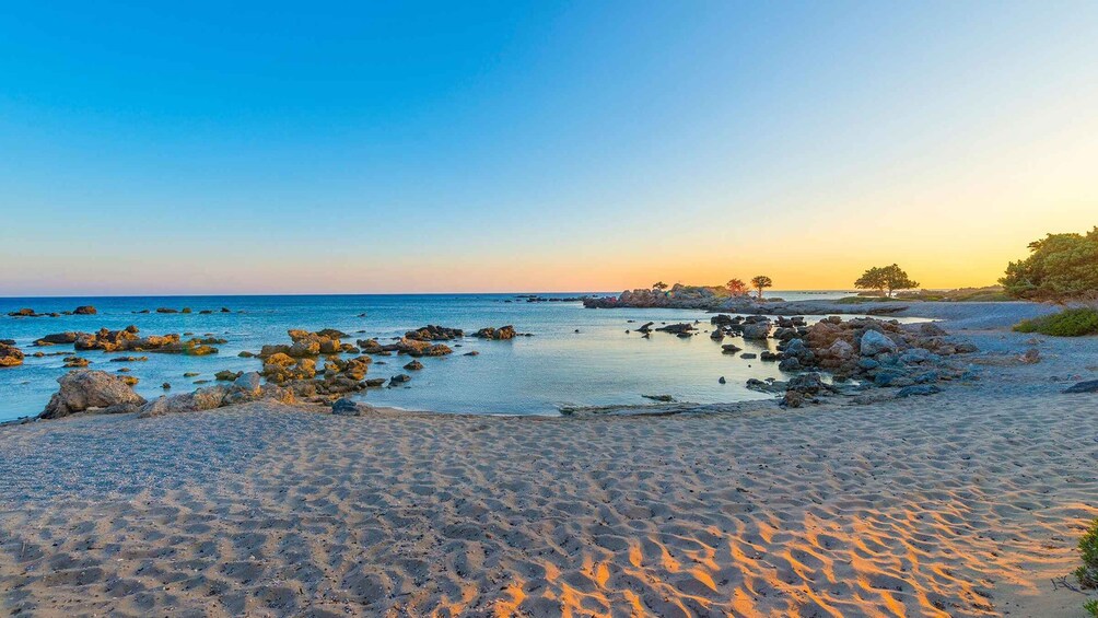 Picture 6 for Activity From Chania: Kedrodasos Beach Tour with Hike 5