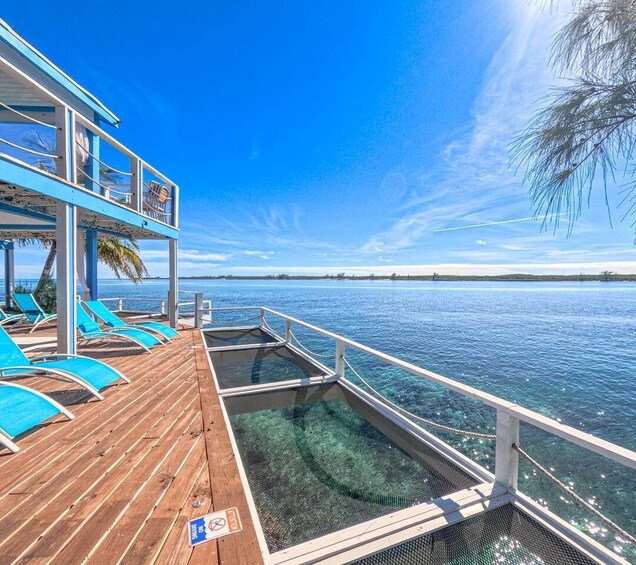 Picture 15 for Activity Nassau: All-Inclusive Private Villa & Snorkel - Pearl Island 4