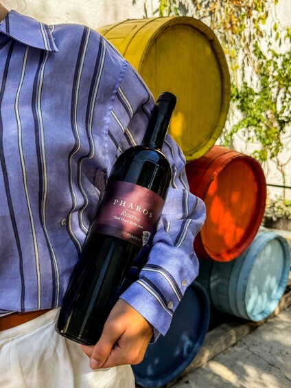 Picture 4 for Activity Vrbanj, Croatia: From Vine to Glass: Guided Wine Tasting 5