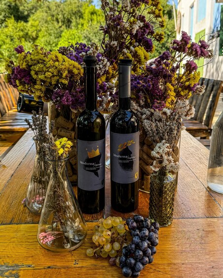 Picture 2 for Activity Vrbanj, Croatia: From Vine to Glass: Guided Wine Tasting 3
