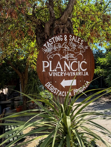 Picture 1 for Activity Vrbanj, Croatia: From Vine to Glass: Guided Wine Tasting 1