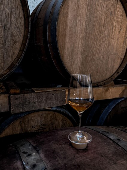 Vrbanj, Croatia: From Vine to Glass: Guided Wine Tasting 2