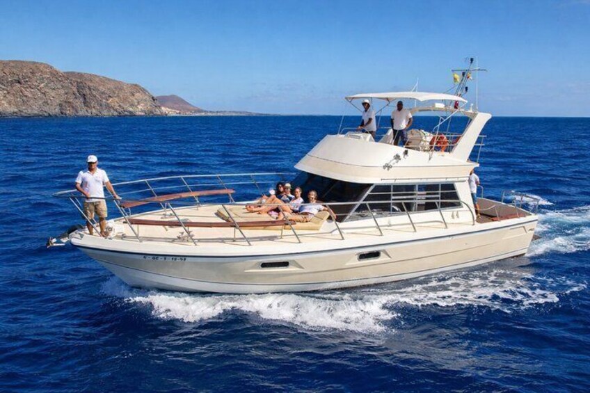 Discover Whales in Tenerife: Exclusive Yacht Tour, Swim & Lunch 1