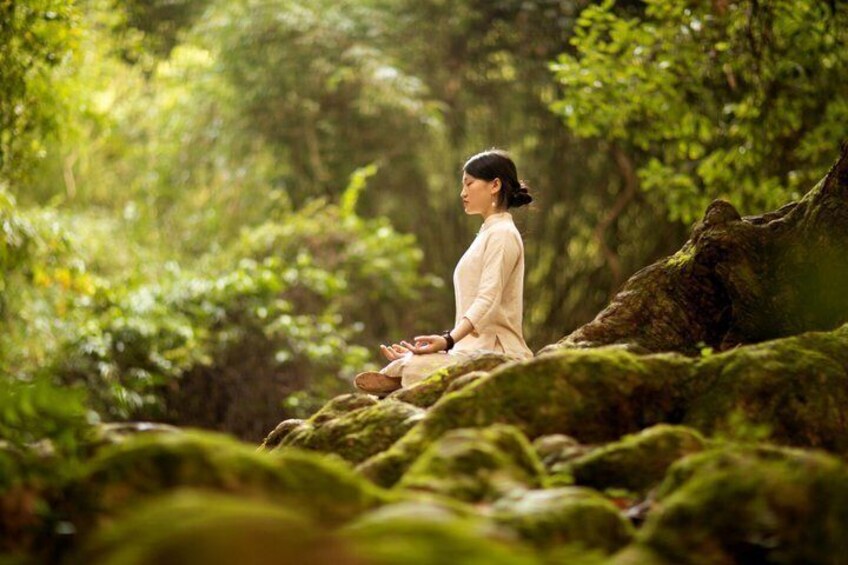 Wellness retreat in the Amazon 1
