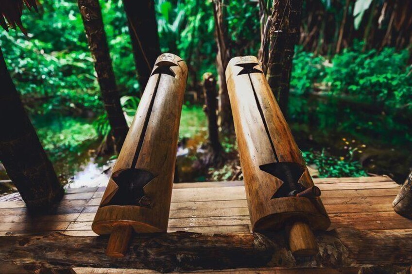 Wellness retreat in the Amazon 4