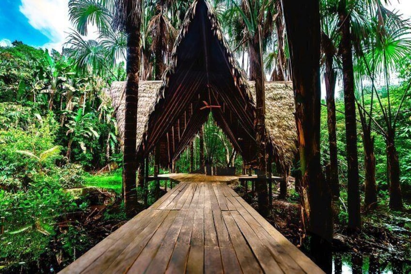 Wellness retreat in the Amazon 2