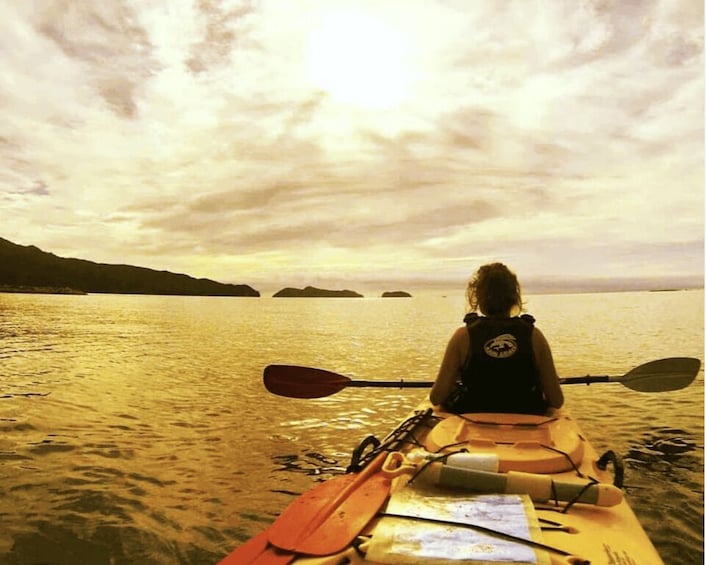 Abel Tasman: Freedom Kayak Adventure at Your Own Pace 1