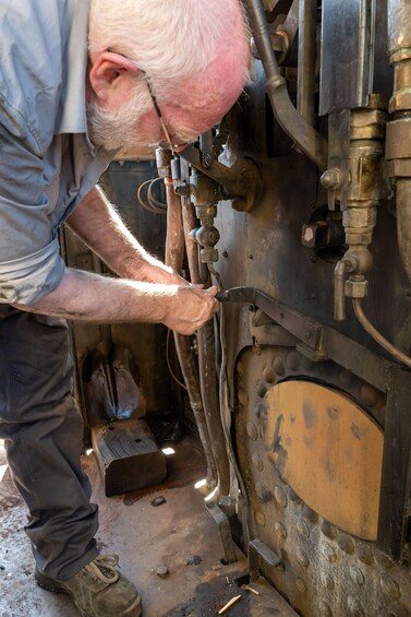 Picture 15 for Activity Mallorca: Admission to the Mallorca Railway Museum. 2