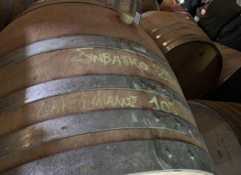 Picture 2 for Activity Robola Wine Tasting at a Vineyard in the Sky 3