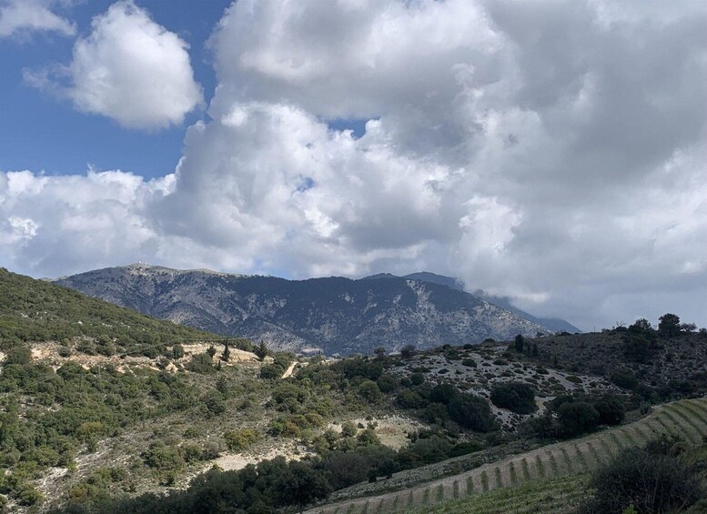 Robola Wine Tasting at a Vineyard in the Sky 1