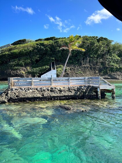 Picture 2 for Activity Boat excursion: Tour of the Îlets du François and the Baignoire de Joséphine 4