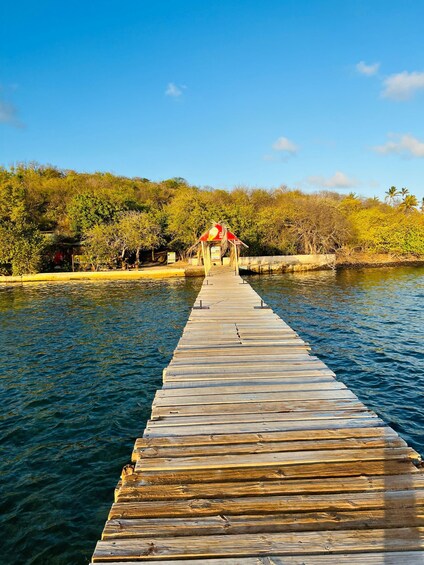 Picture 4 for Activity Boat excursion: Tour of the Îlets du François and the Baignoire de Joséphine 3